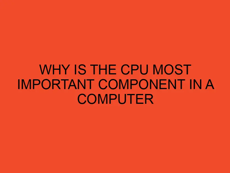 Why Is the CPU the Most Important Component in a Computer? DesktopEdge